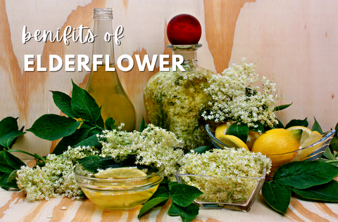 Benefits of Elderflower