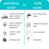 ZOiK Sparkling Water| Select Pack