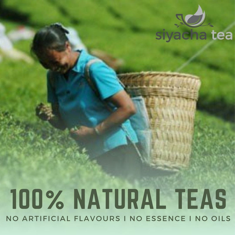 Siyacha Tea Mint Green Tea | Select Pack