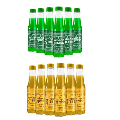 JIVO Healthy Wheatgrass Juice Jeera & Ginger Ale | 250ml  | Select Pack Jivo Wellness