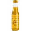 JIVO Healthy Wheatgrass Juice Jeera & Ginger Ale | 250ml  | Select Pack Jivo Wellness
