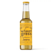 JIVO Wheatgrass Super Juice Original Jeera Flavours | Pack of 6 Jivo Wellness