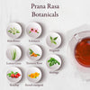Lush Vitality Prana Rasa | Immunity Blend Tisane - DrinksDeli India