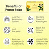 Lush Vitality Prana Rasa | Immunity Blend Tisane - DrinksDeli India