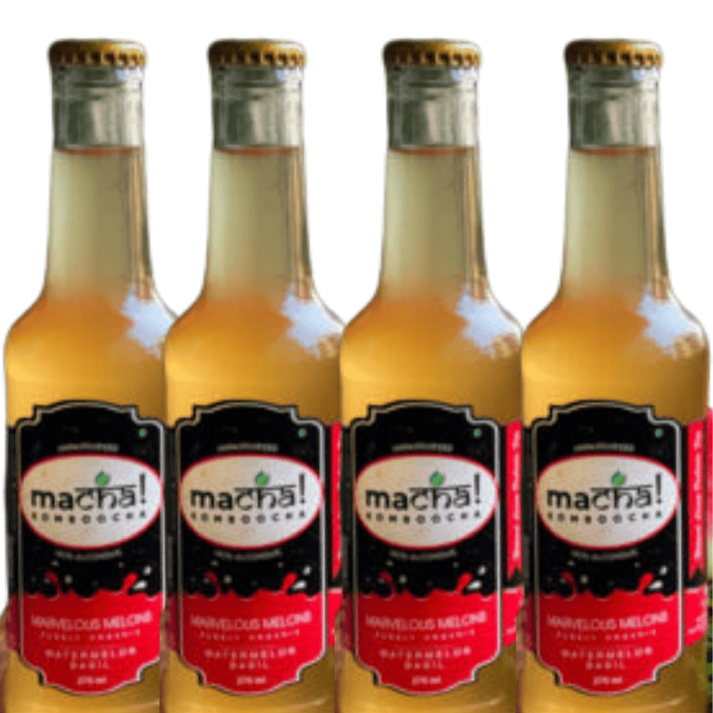 Machakomboocha Marvelous Melons | Select Pack - DrinksDeli India