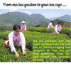 Radhikas Fine Teas BEAUTEA Chrysanthemum Flower Decaf Tisane | 50 gm Radhikas Fine Teas